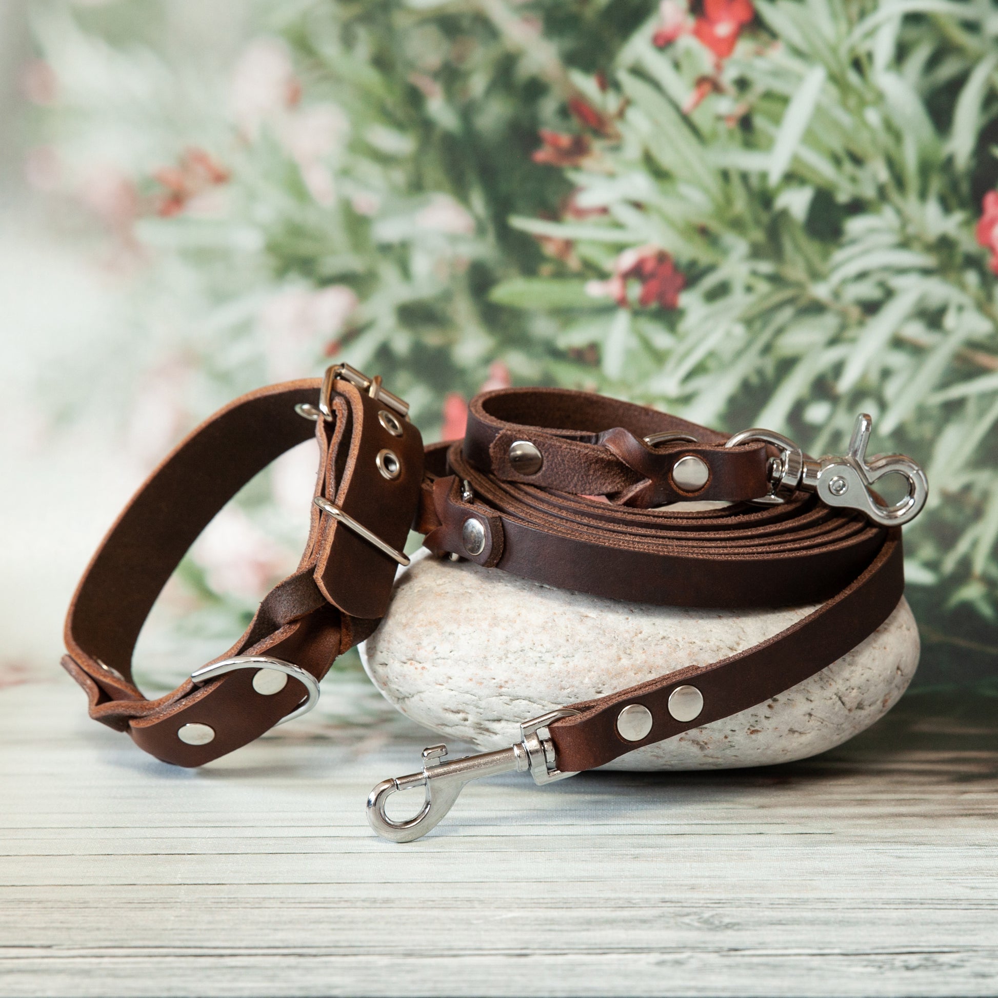 Hundeleinen-Set KIWI in Braun – handgemachte Kombination aus Lederleine und passendem Halsband